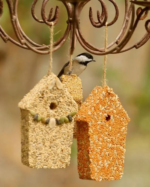 Home Tweet Home - Seed Ornament Pack in use