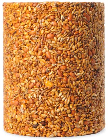 Seed Cylinder Variety Pack - Large - 4 Piece - Flaming Hot Feast