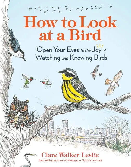 How to Look at a Bird
front cover