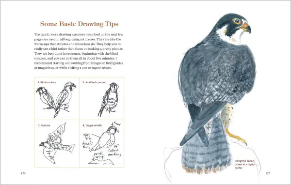 How to Look at a Bird
sample pages