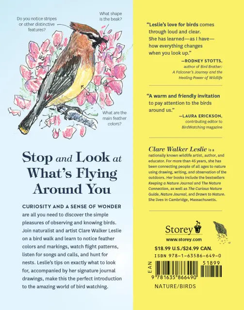 How to Look at a Bird
back cover