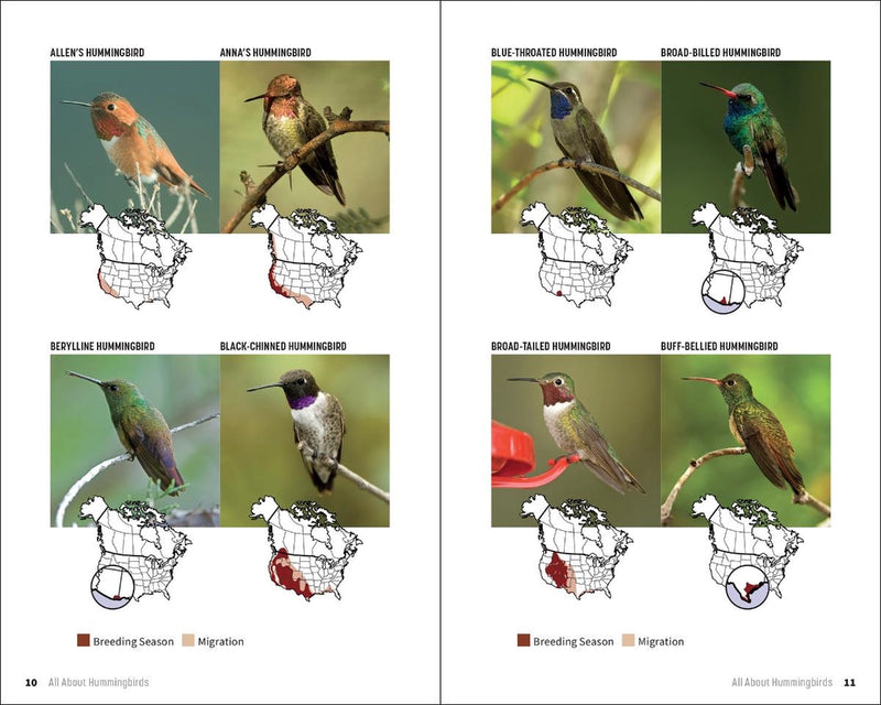 Illustration of various hummingbird species with breeding and migration patterns.