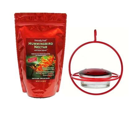 Hummble Bold Hanging Sphere Hummingbird Feeder with Nectar