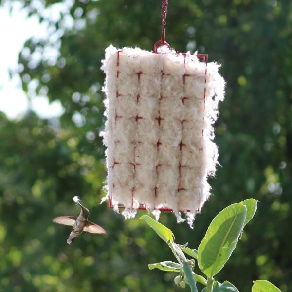Hummer Helper Cage and Nesting for Hummingbirds — Nature Niche
