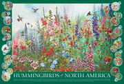 Reference poster featuring hummingbirds and flowers with a green border and 'Hummingbirds of North America' text depicting where each hummingbird is from