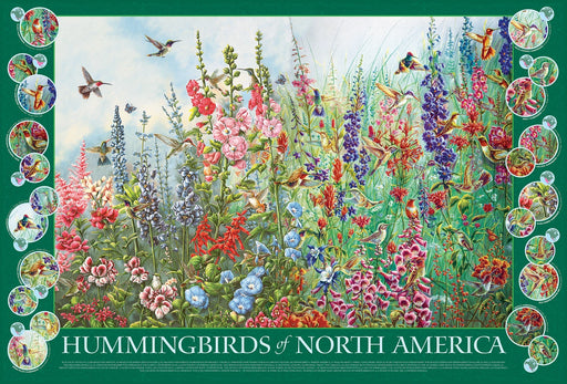 Reference poster featuring hummingbirds and flowers with a green border and 'Hummingbirds of North America' text depicting where each hummingbird is from