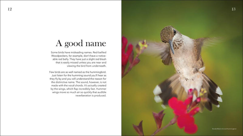 Hummingbirds: Marvels of the Bird World
sample pages