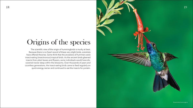 Hummingbirds: Marvels of the Bird World
sample pages