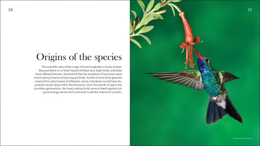 Hummingbirds: Marvels of the Bird World
sample pages