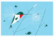 Charley Harper: Hummingbirds Notecard Folio - Hummer Hellos