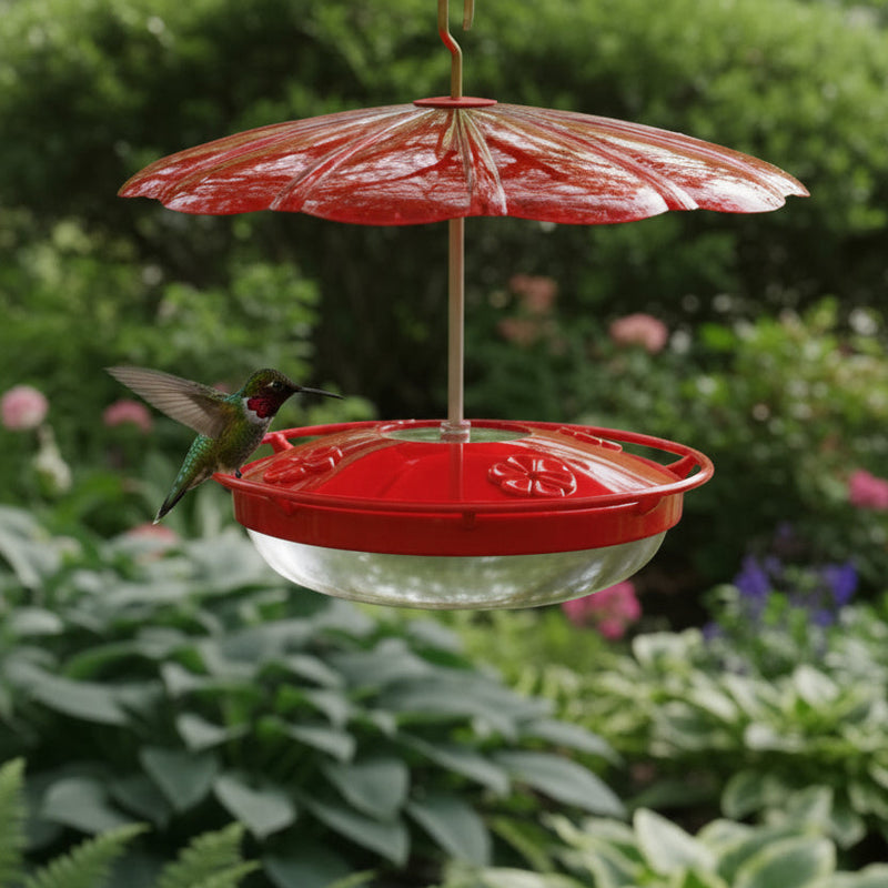 HummZinger of a Hummingbird Bundle being visited by a ruby throated hummingbird