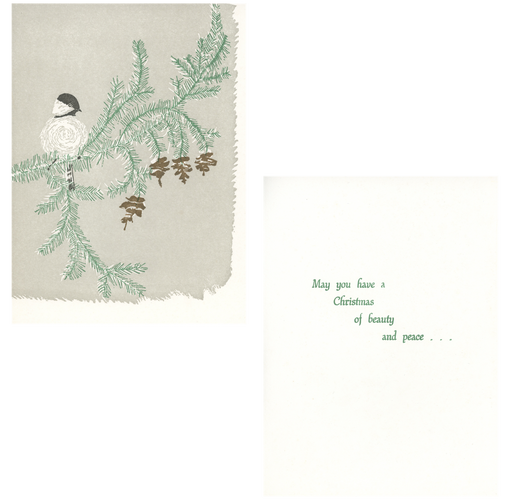 chickadee sitting on pine branch large Christmas card front and inside message