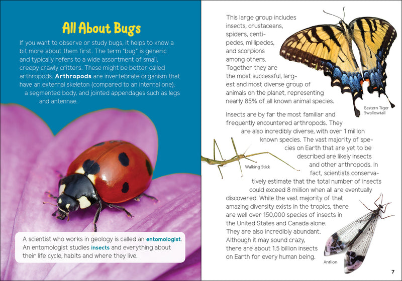 Insects & Bugs for Kids