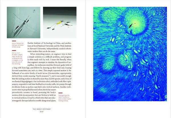 The Insect Epiphany: How Our Six-Legged Allies Shape Human Culture
sample pages