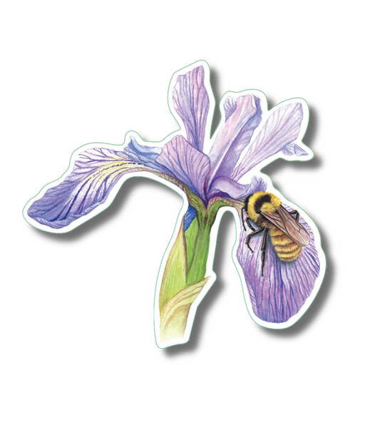 Bumblebee On Iris Nature Sticker