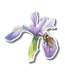 Bumblebee On Iris Nature Sticker