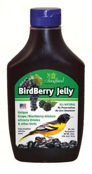 All Around Oriole Bundle - BirdBerry Jelly