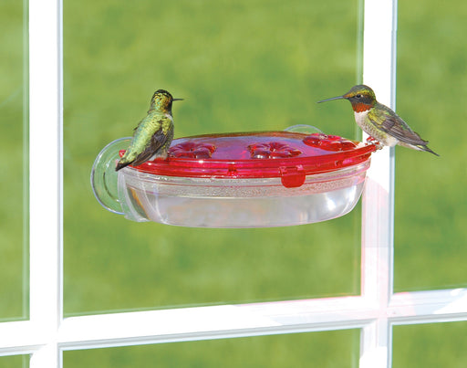 Jewel Box Window Hummingbird Feeder in use