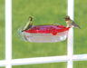 Jewel Box Window Hummingbird Feeder in use