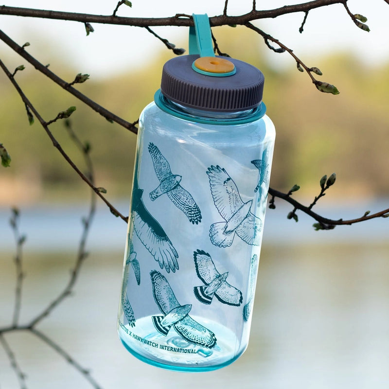 Hawks in Flight Nalgene Water Bottle - Seafoam