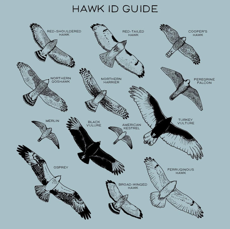 Hawks in Flight Nalgene Water Bottle - Seafoam