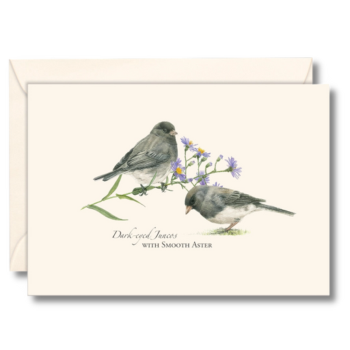 Juncos Notecard Boxed Set of 8