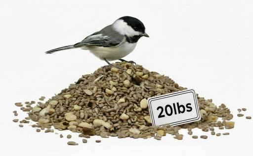 Bird sitting on top of a pile of Just the Meats birdseed