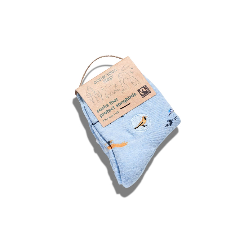 preschool sized light blue socks with bird illustrations