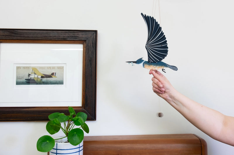 Person holding a blue kingfisher mobile pull string next to a framed picture on a wall.