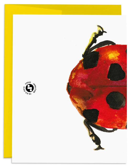 Lucky Ladybug Birthday Card back of card