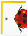 Lucky Ladybug Birthday Card back of card