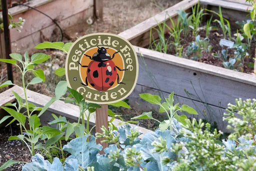 Garden Sign - Ladybug Pesticide Free - in the garden
