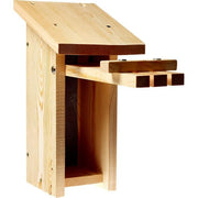 Ladybug Habitat
Interior view