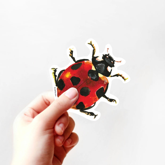 Ladybug Insect Sticker Door Ladybug Vinyl Sticker — Nature Niche