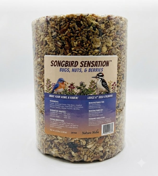 Bugs, Nuts, and Berries Seed Cylinder - Large - 4.6 lbs