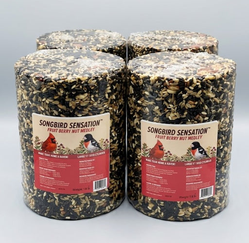4 Pack Fruit Berry Nut Seed Cylinder - Large - 4 lbs.