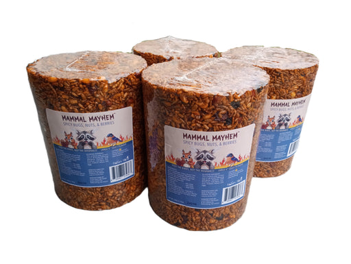 Mammal Mayhem Spicy Bugs, Nuts, & Berries - Large Seed Cylinder 4.5 lbs - 4 Pack