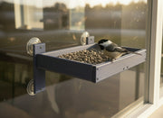 Bird perched on a window-mounted bird feeder with seeds.