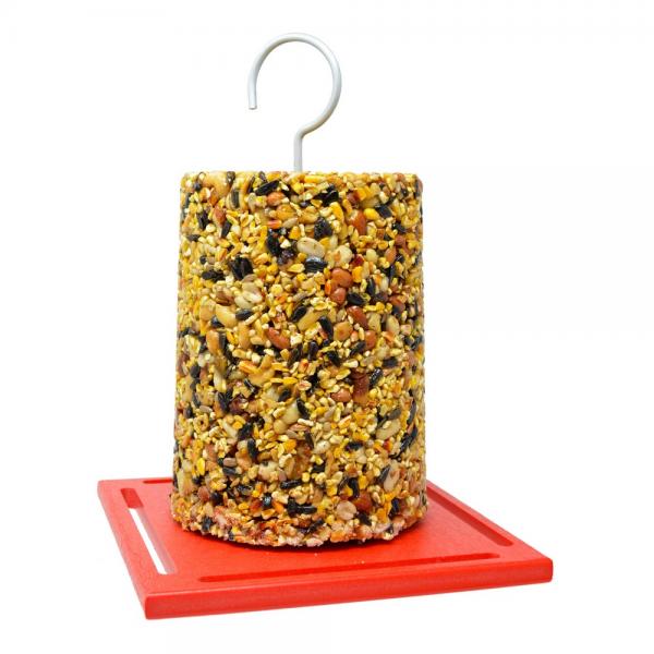 Recycled Large Red Cylinder Feeder
Cylinder not included