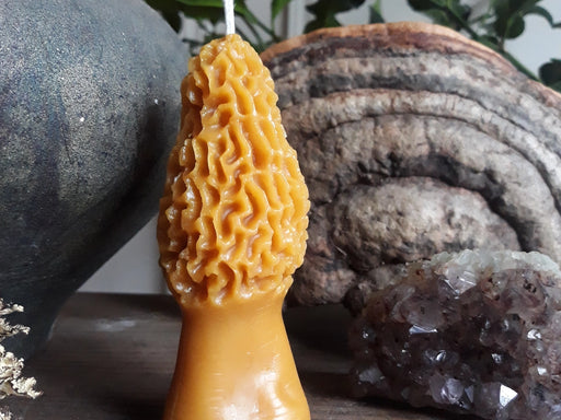 Morel Mushroom Beeswax Candle - Large