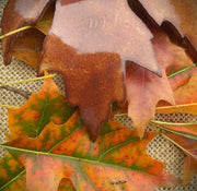 Silver Maple Stoneware Trinket Dish - back of leaf