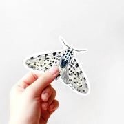Giant Leopard Moth Vinyl Sticker