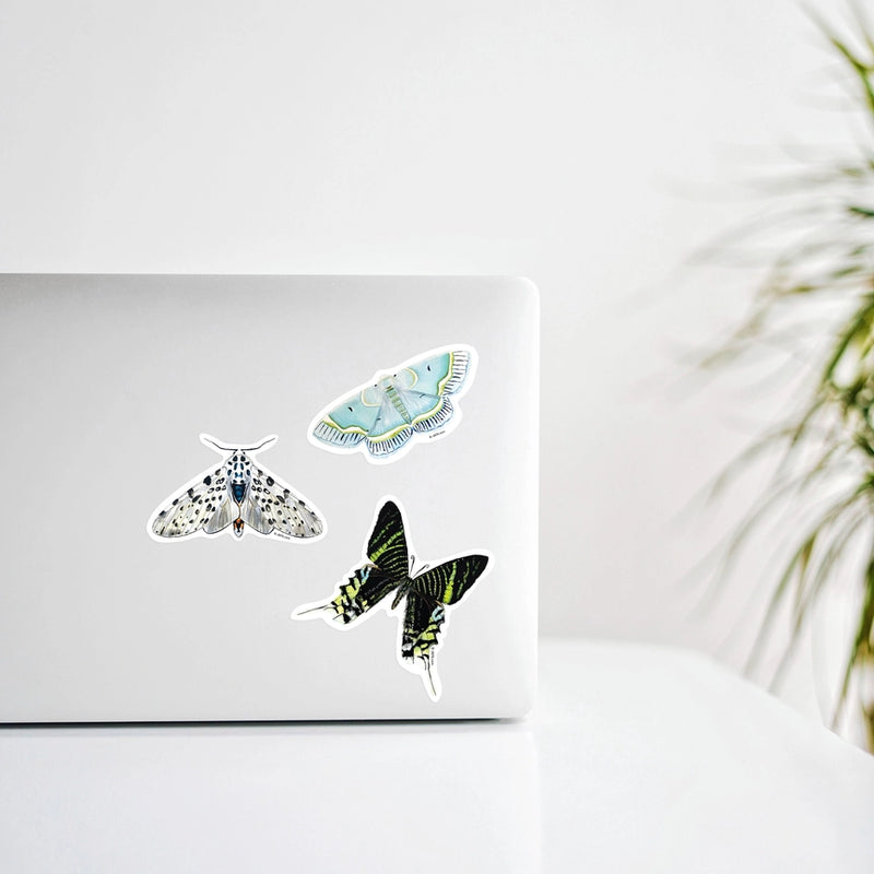 Giant Leopard Moth Vinyl Sticker in use