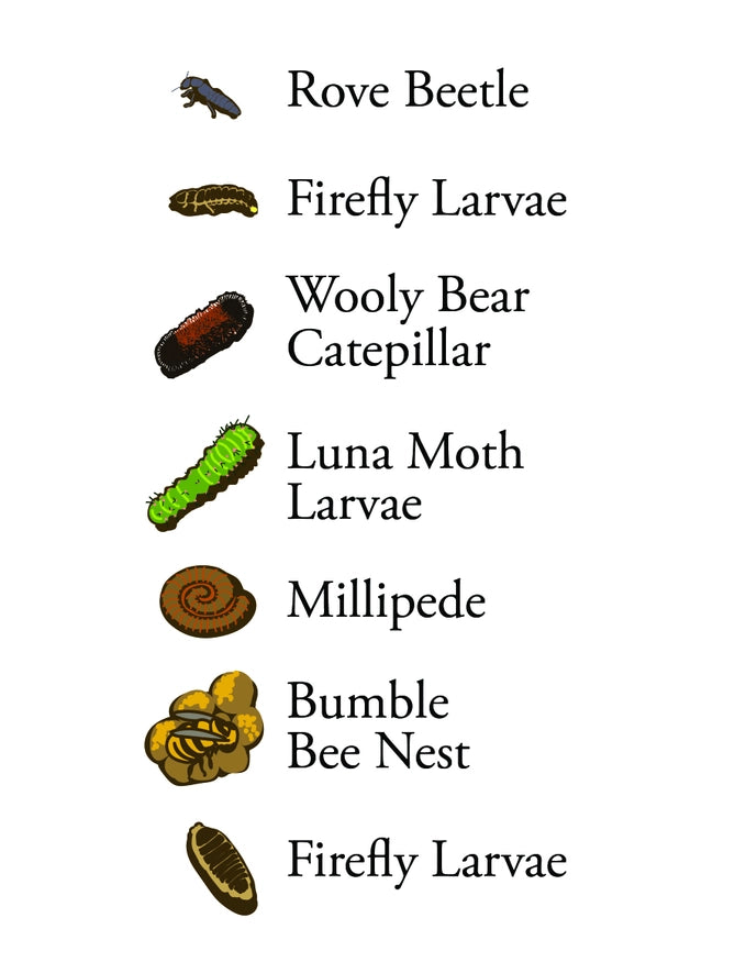 Garden Sign - Leave the Leaves