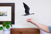 Loon Bird Flying Mobile with pull string