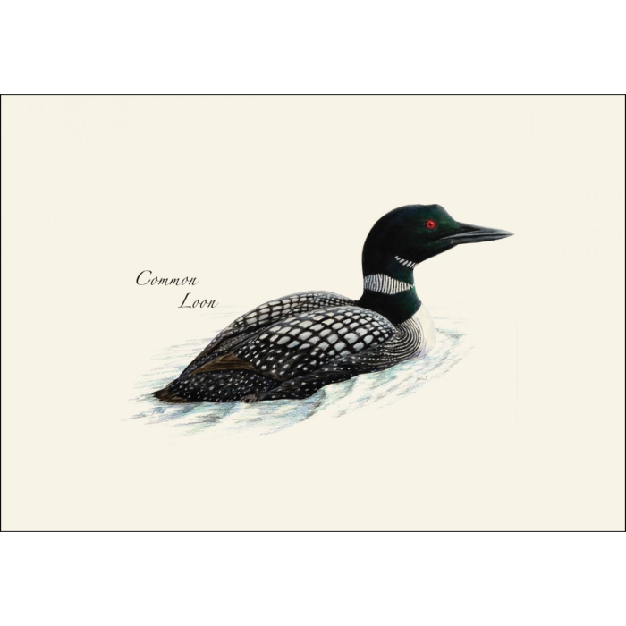 Loon Assortment Notecard Boxed Set of 8