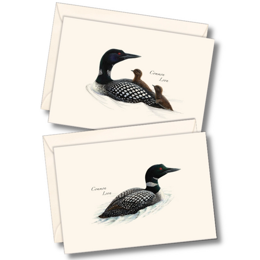 Loon Assortment Notecard Boxed Set of 8