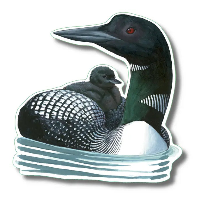 Common Loon Nature Sticker