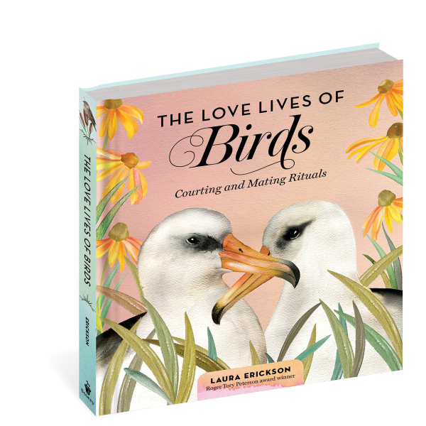 The Love Lives of Birds