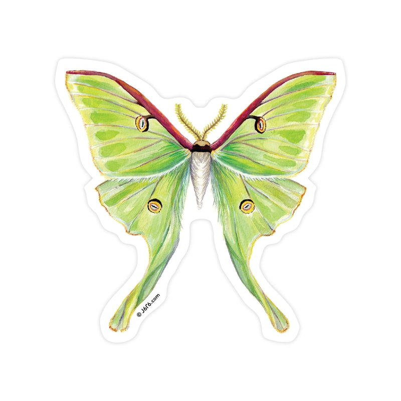 Luna Moth Vinyl Sticker